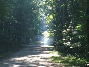 Magic and light on the Great Allegheny Passage.