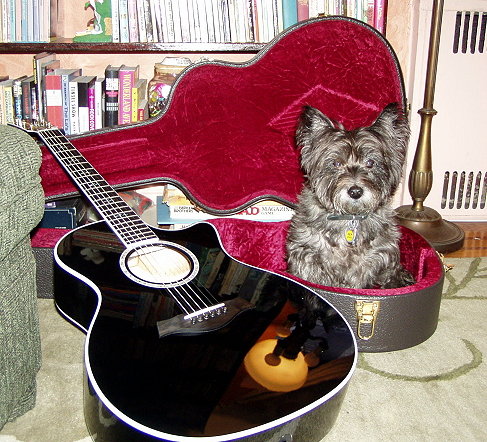 Ciara decided she wanted to join the band and hid out in his guitar case